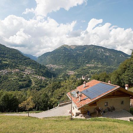 Agriturismo La Meta Pieve di Bono Ngoại thất bức ảnh