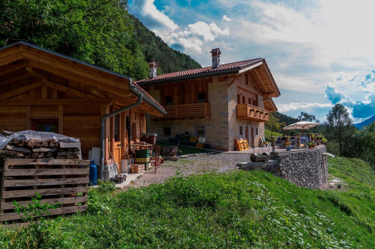 Agriturismo La Meta Pieve di Bono Ngoại thất bức ảnh